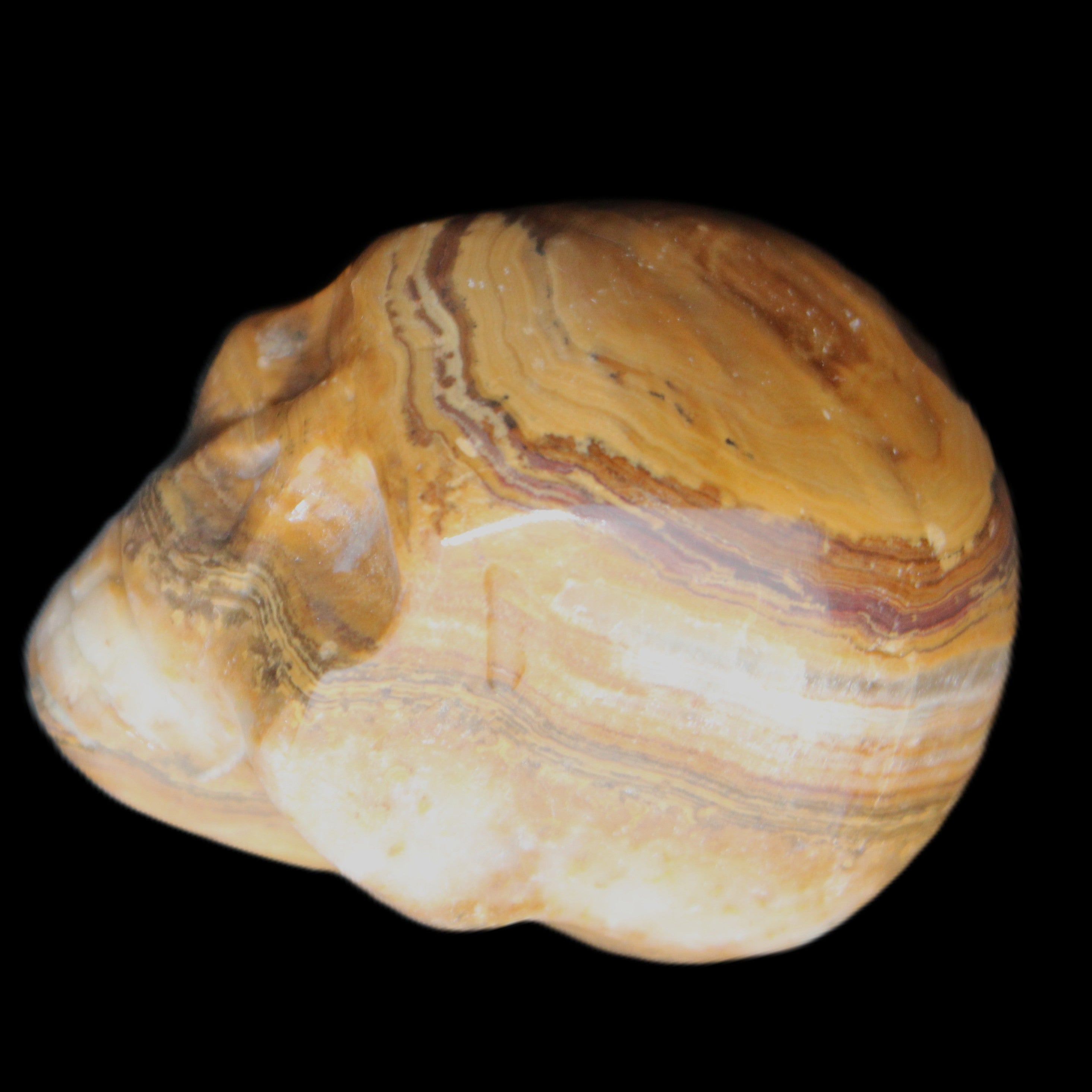 BumbleBee Banded Calcite skull 32*46*39mm 106g in sunlight - Rocks and Things Store