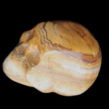 BumbleBee Banded Calcite skull 32*46*39mm 106g in sunlight - Rocks and Things Store