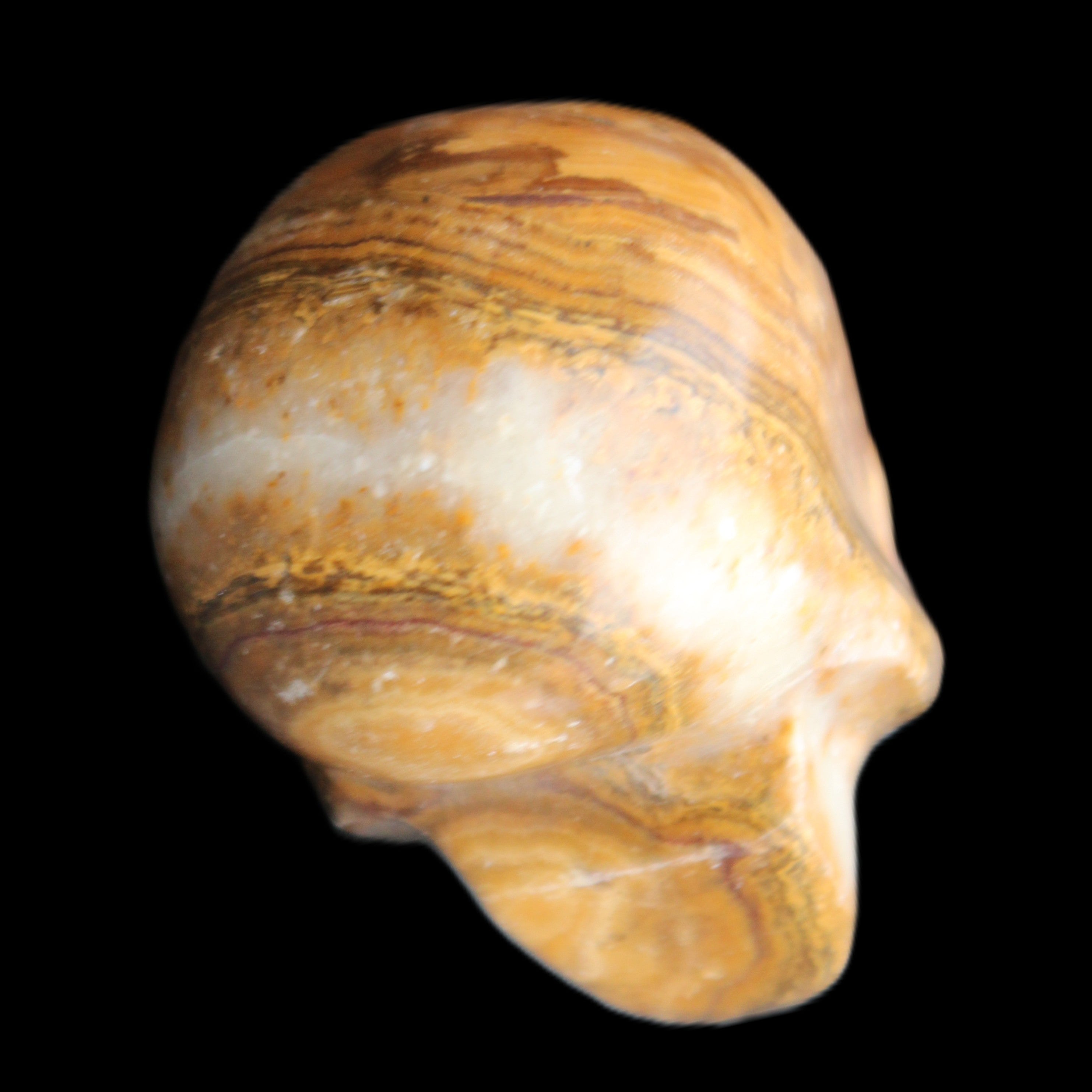 BumbleBee Banded Calcite skull 32*46*39mm 106g in sunlight - Rocks and Things Store