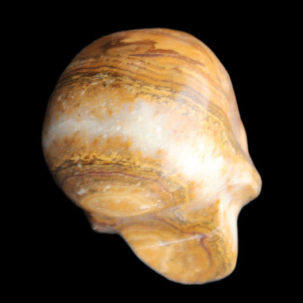 BumbleBee Banded Calcite skull 32*46*39mm 106g in sunlight - Rocks and Things Store