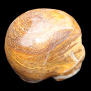 BumbleBee Banded Calcite skull 35*47*39mm 112g in sunlight - Rocks and Things Store