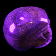BumbleBee Banded Calcite skull 35*47*39mm 112g in UV light - Rocks and Things Store