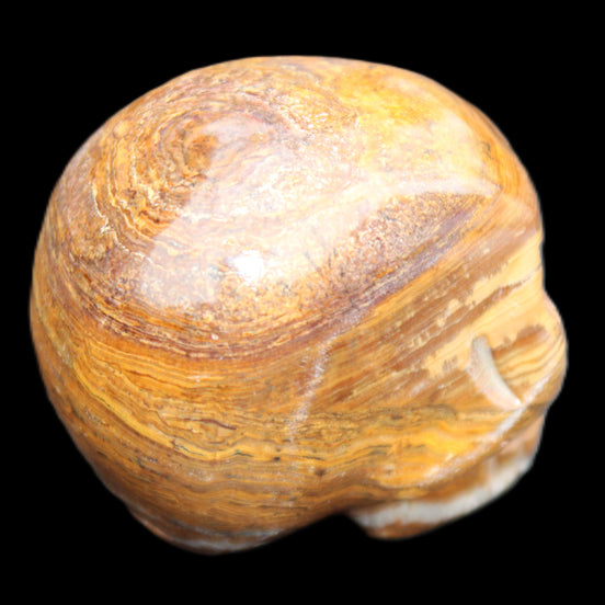BumbleBee Banded Calcite skull 35*47*39mm 112g in sunlight - Rocks and Things Store