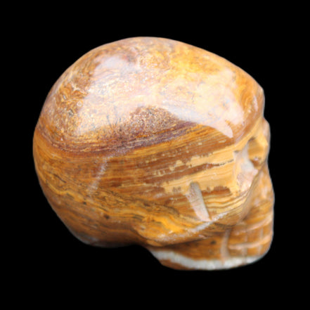 BumbleBee Banded Calcite skull 35*47*39mm 112g in sunlight - Rocks and Things Store
