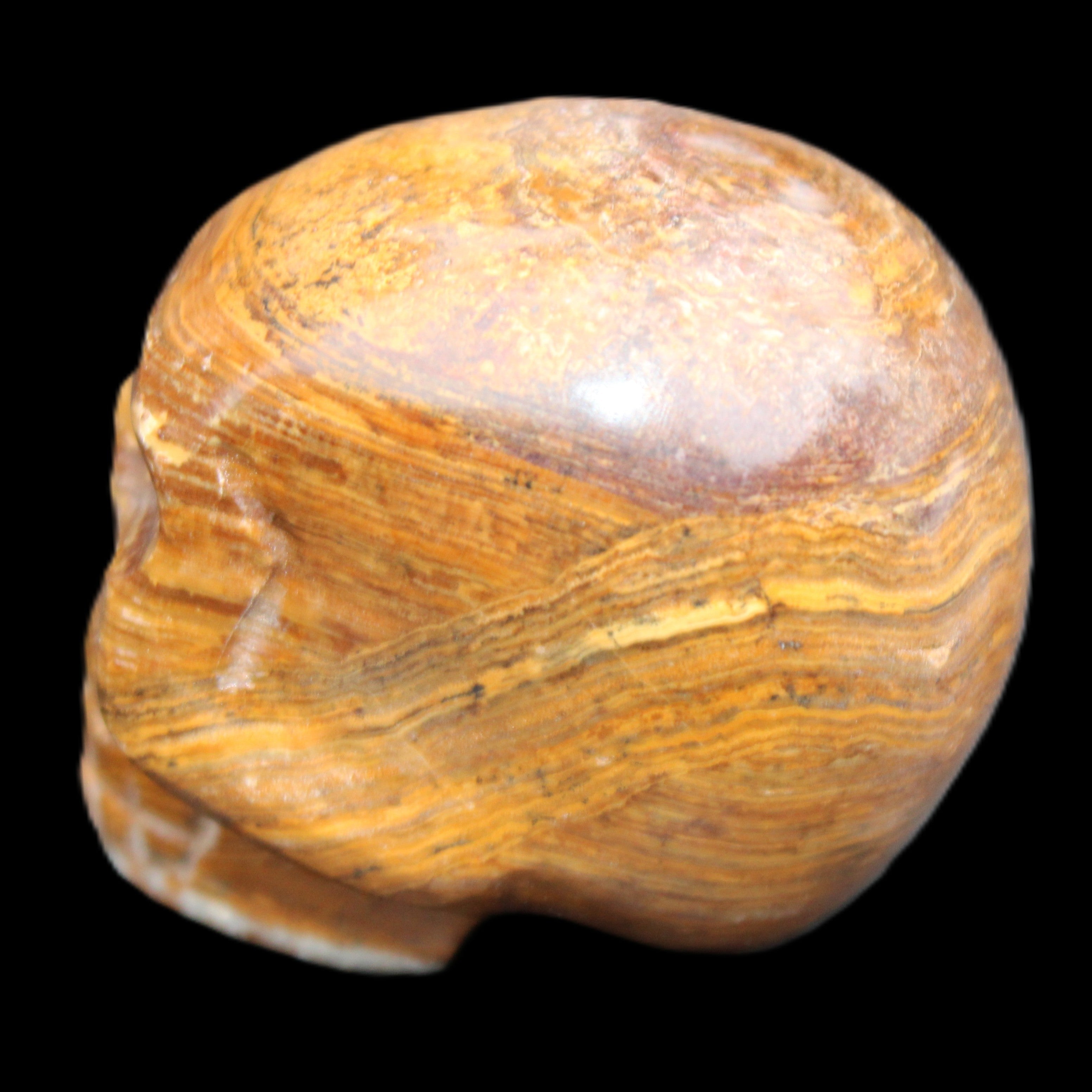 BumbleBee Banded Calcite skull 35*47*39mm 112g in sunlight - Rocks and Things Store