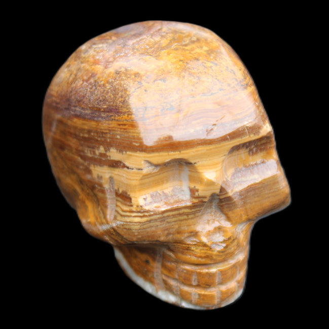 BumbleBee Banded Calcite skull 35*47*39mm 112g in sunlight - Rocks and Things Store