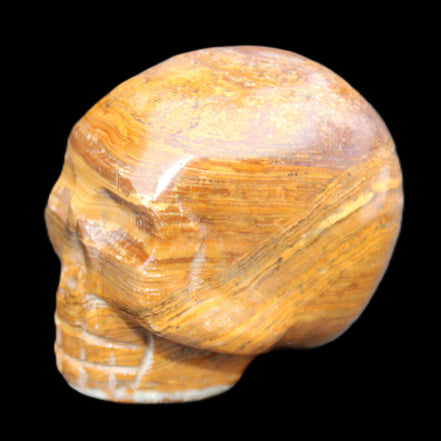 BumbleBee Banded Calcite skull 35*47*39mm 112g in sunlight - Rocks and Things Store