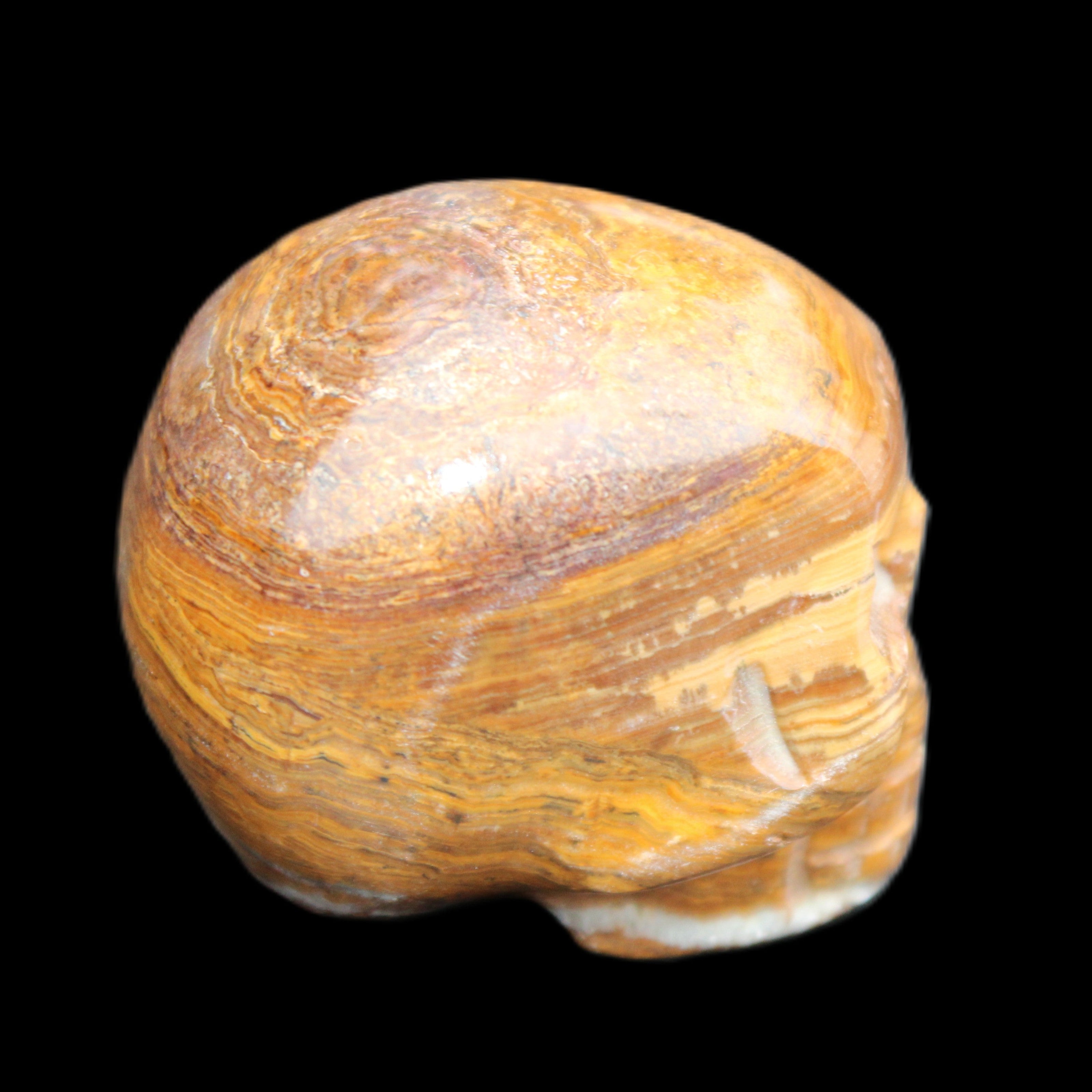 BumbleBee Banded Calcite skull 35*47*39mm 112g in sunlight - Rocks and Things Store