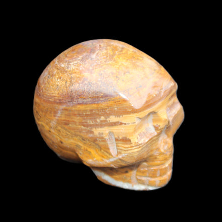 BumbleBee Banded Calcite skull 35*47*39mm 112g in sunlight - Rocks and Things Store