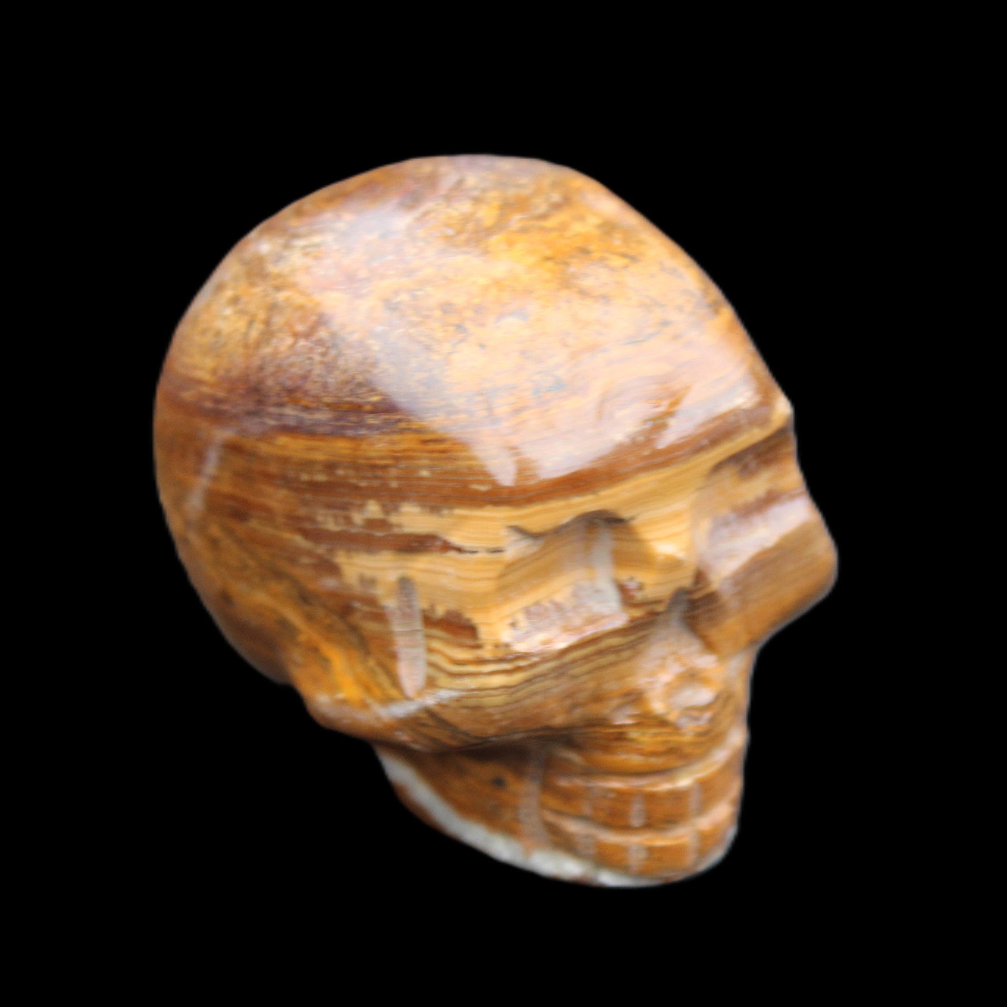 BumbleBee Banded Calcite skull 35*47*39mm 112g in sunlight - Rocks and Things Store