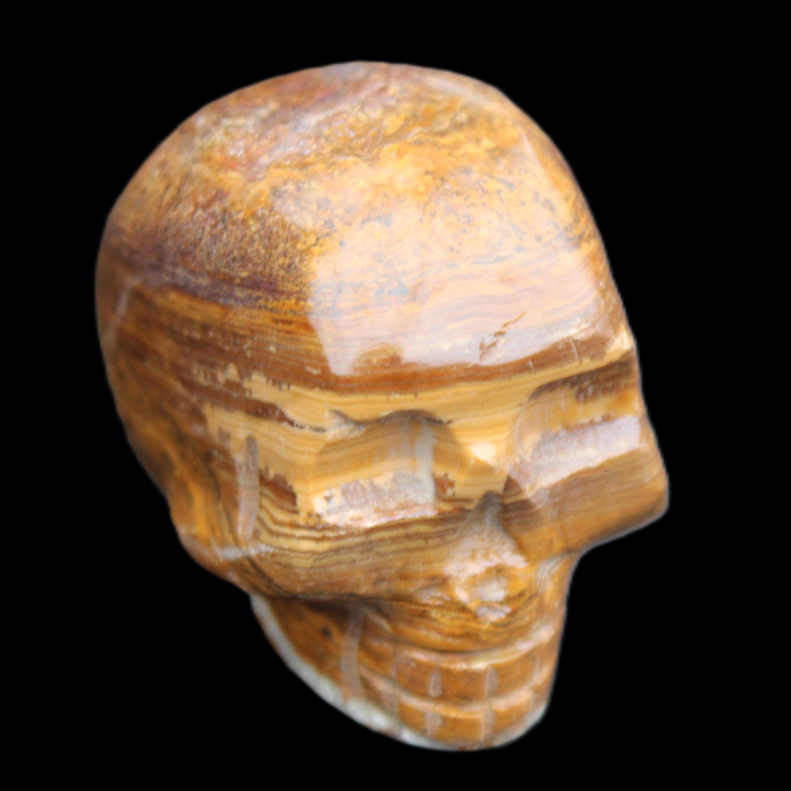 BumbleBee Banded Calcite skull 35*47*39mm 112g in sunlight - Rocks and Things Store