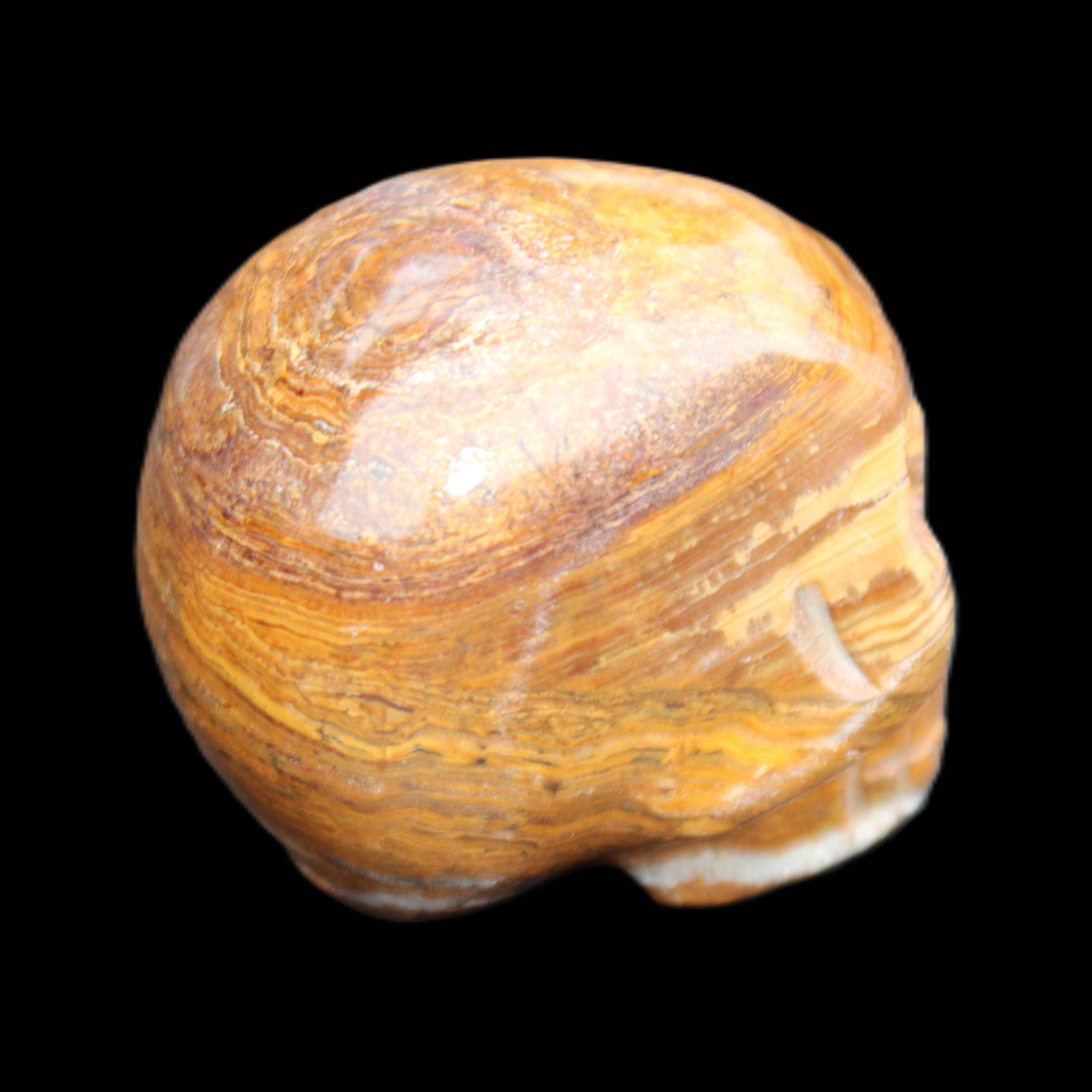 BumbleBee Banded Calcite skull 35*47*39mm 112g in sunlight - Rocks and Things Store