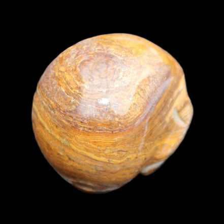 BumbleBee Banded Calcite skull 35*47*39mm 112g in sunlight - Rocks and Things Store
