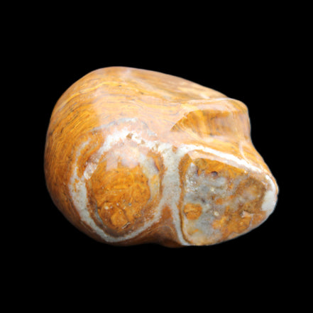 BumbleBee Banded Calcite skull 35*47*39mm 112g in sunlight - Rocks and Things Store