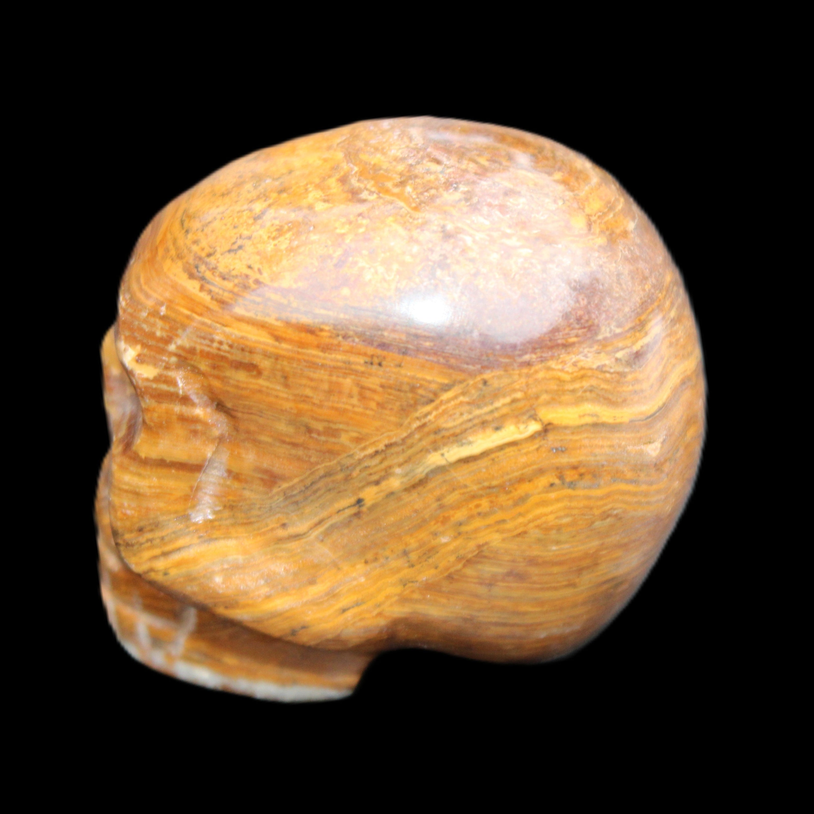 BumbleBee Banded Calcite skull 35*47*39mm 112g in sunlight - Rocks and Things Store