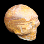 BumbleBee Banded Calcite skull 35*47*39mm 112g in sunlight - Rocks and Things Store