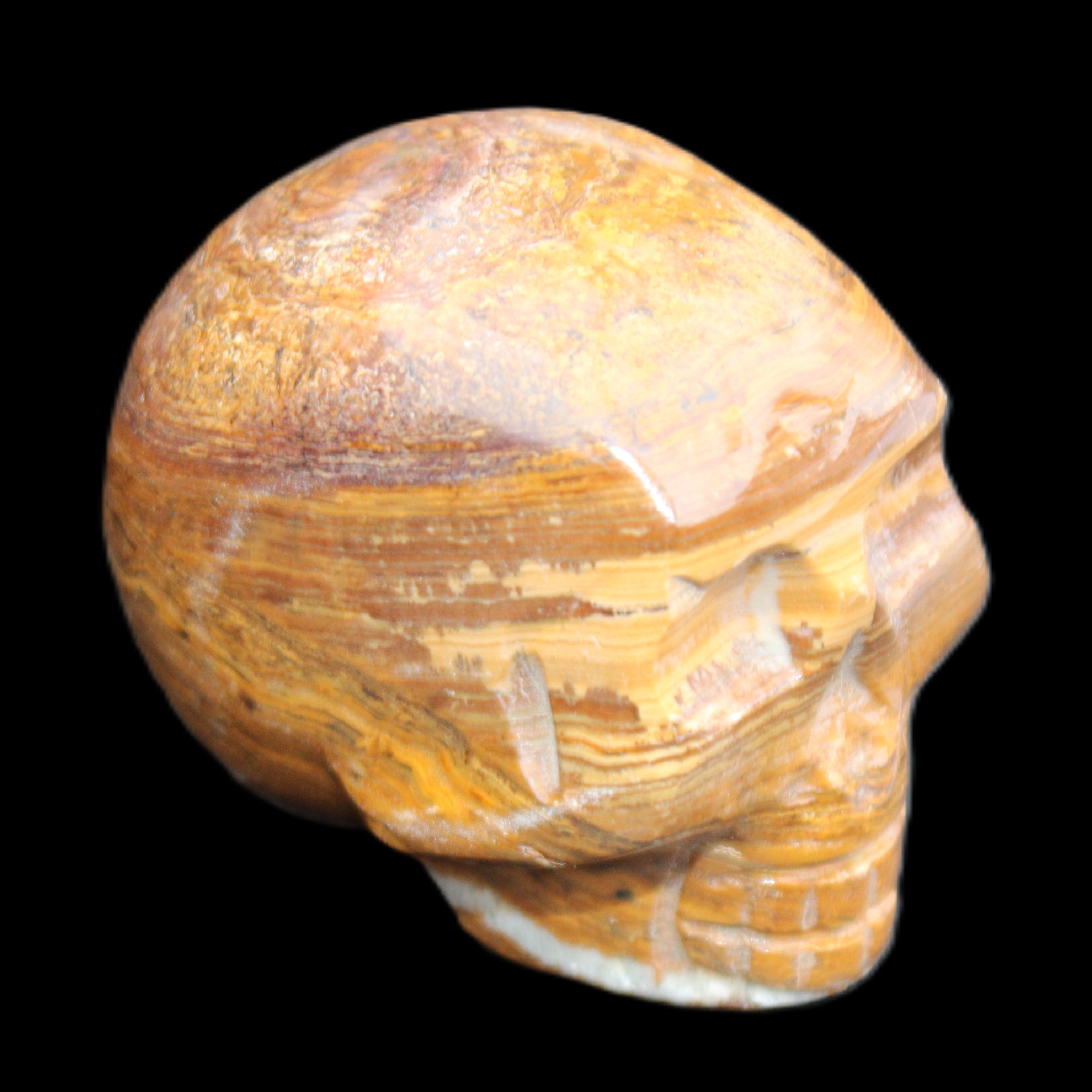 BumbleBee Banded Calcite skull 35*47*39mm 112g in sunlight - Rocks and Things Store