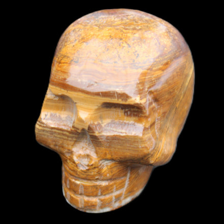 BumbleBee Banded Calcite skull 35*47*39mm 112g in sunlight - Rocks and Things Store