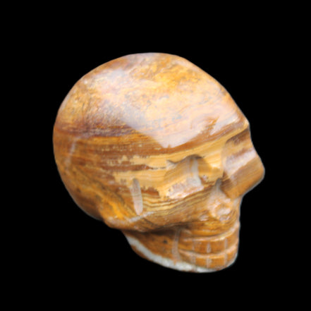 BumbleBee Banded Calcite skull 35*47*39mm 112g in sunlight - Rocks and Things Store