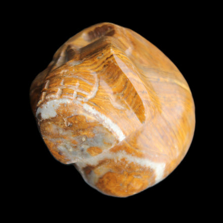 BumbleBee Banded Calcite skull 35*47*39mm 112g in sunlight - Rocks and Things Store