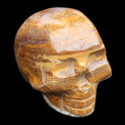 BumbleBee Banded Calcite skull 35*47*39mm 112g in sunlight - Rocks and Things Store