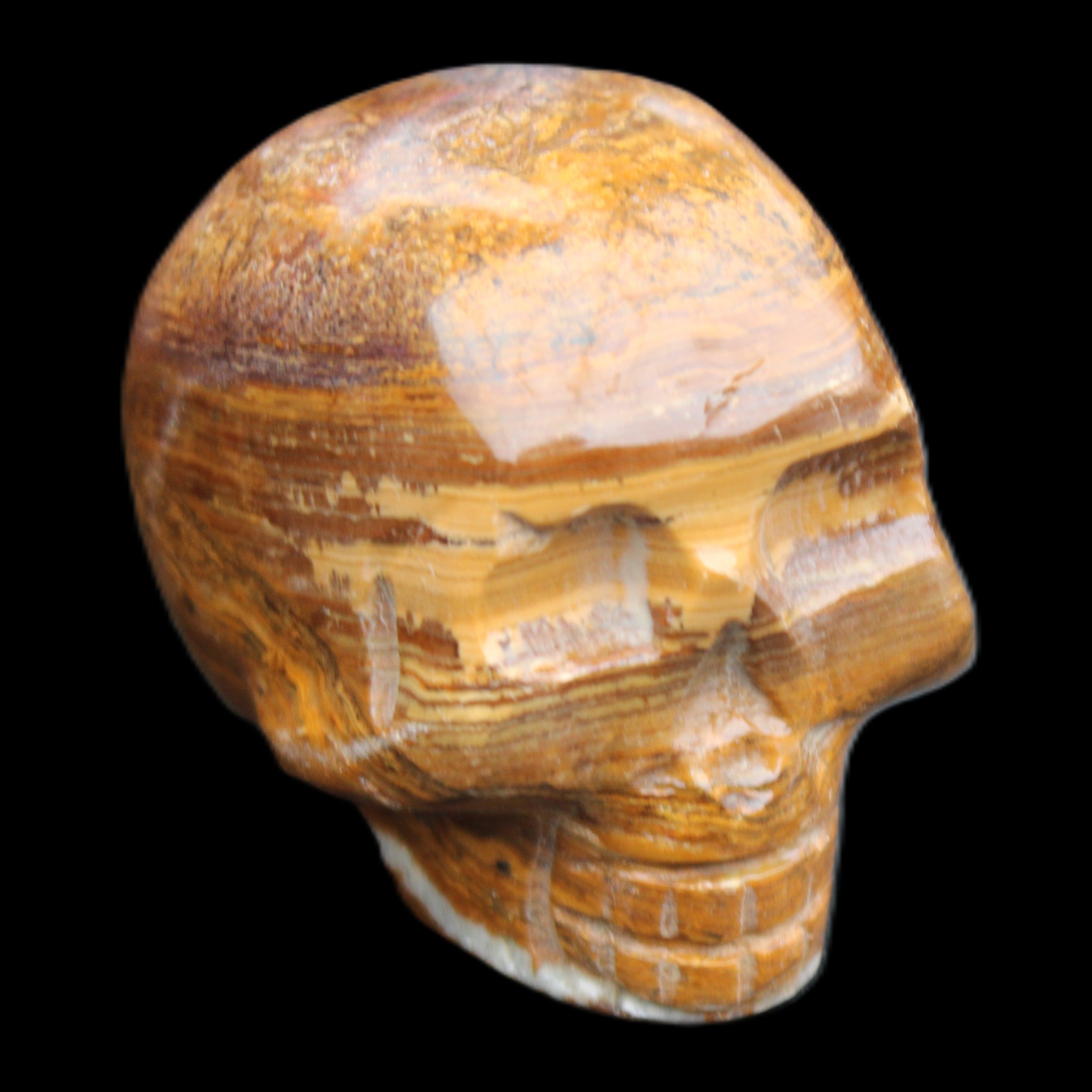 BumbleBee Banded Calcite skull 35*47*39mm 112g in sunlight - Rocks and Things Store
