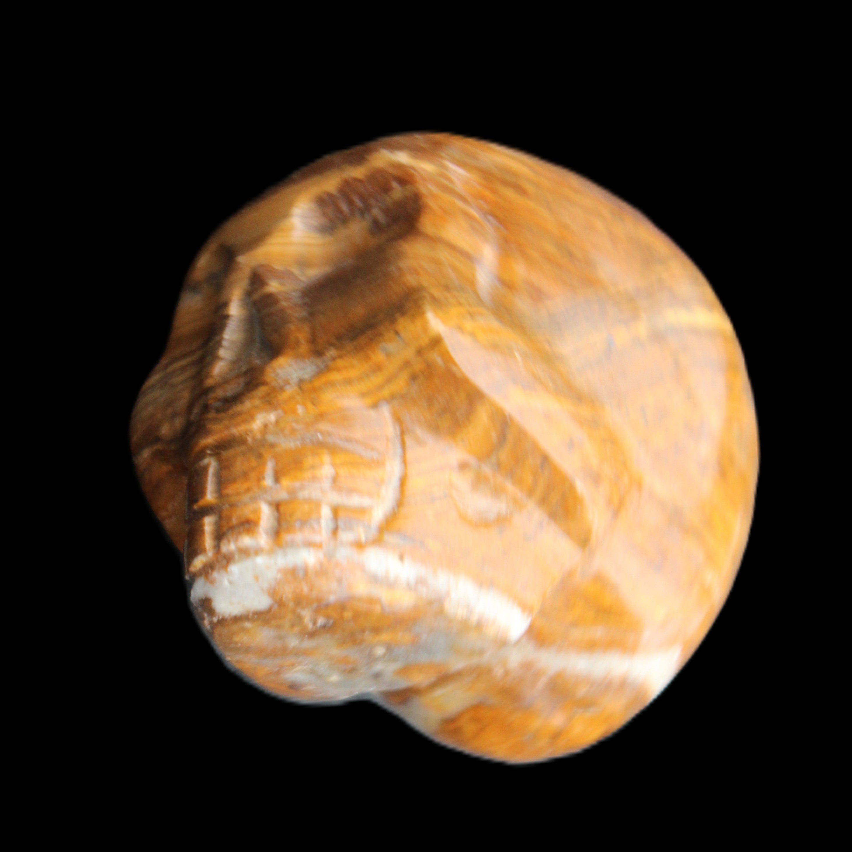 BumbleBee Banded Calcite skull 35*47*39mm 112g in sunlight - Rocks and Things Store