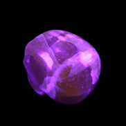 Honey Calcite skull from Pakistan 28*44*36mm 93g in UV light - Rocks and Things Store