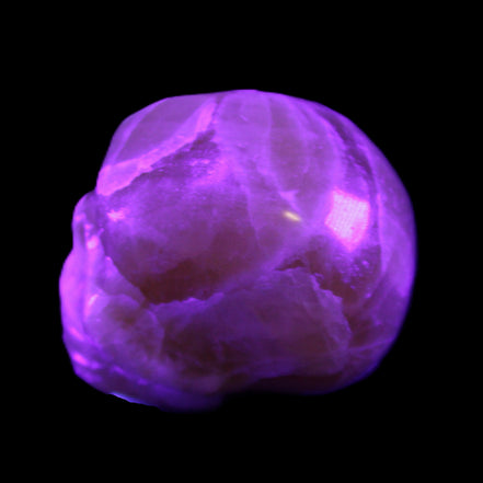 Honey Calcite skull from Pakistan 30*40*35mm 80g in UV light - Rocks and Things Store