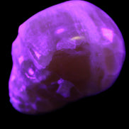 Honey Calcite skull from Pakistan 42*35*37mm 91g in UV light - Rocks and Things Store