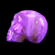 Honey Calcite skull from Pakistan 42*35*37mm 91g in UV light - Rocks and Things Store