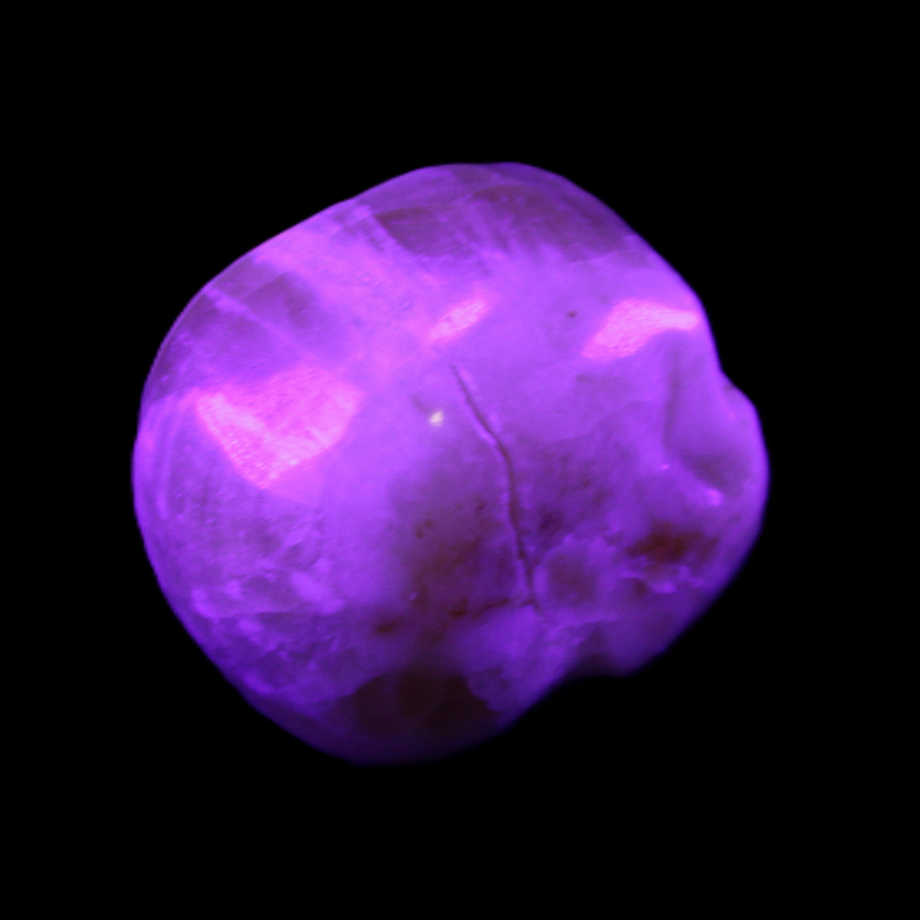 Honey Calcite skull from Pakistan 42*35*37mm 91g in UV light - Rocks and Things Store