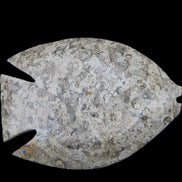 Fossil Stone hand-carved Fish platter 145*105*20mm 411g in sunlight - Rocks and Things Store
