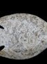 Fossil Stone hand-carved Fish platter 145*105*20mm 411g in sunlight - Rocks and Things Store