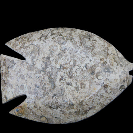 Fossil Stone hand-carved Fish platter 145*105*20mm 411g in sunlight - Rocks and Things Store