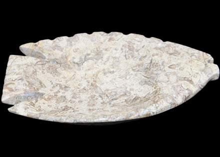 Fossil Stone hand-carved Fish platter 145*105*20mm 411g in sunlight - Rocks and Things Store