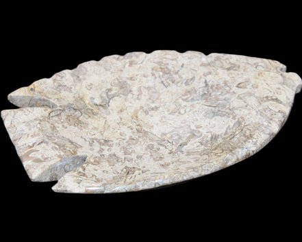 Fossil Stone hand-carved Fish platter 145*105*20mm 411g in sunlight - Rocks and Things Store