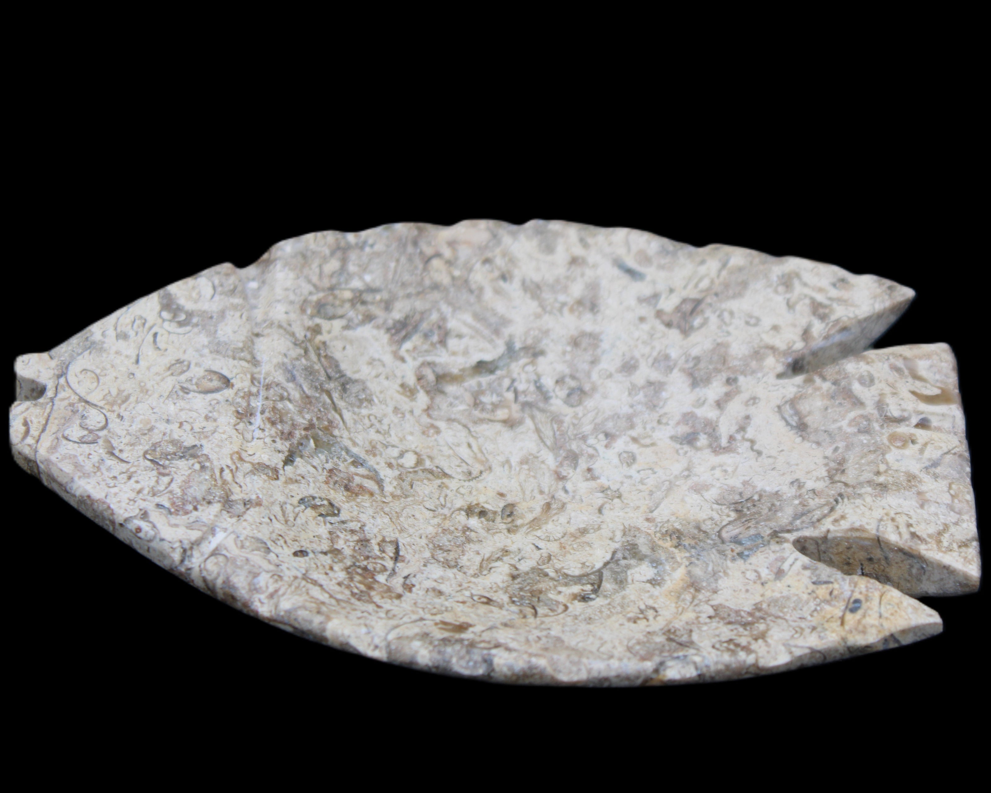 Fossil Stone hand-carved Fish platter 145*105*20mm 411g in sunlight - Rocks and Things Store