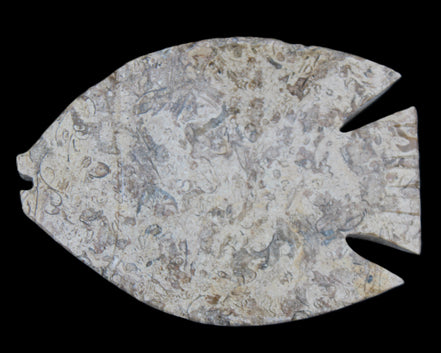 Fossil Stone hand-carved Fish platter 145*105*20mm 411g in sunlight - Rocks and Things Store