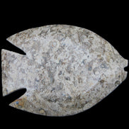 Fossil Stone hand-carved Fish platter 145*105*20mm 411g in sunlight - Rocks and Things Store