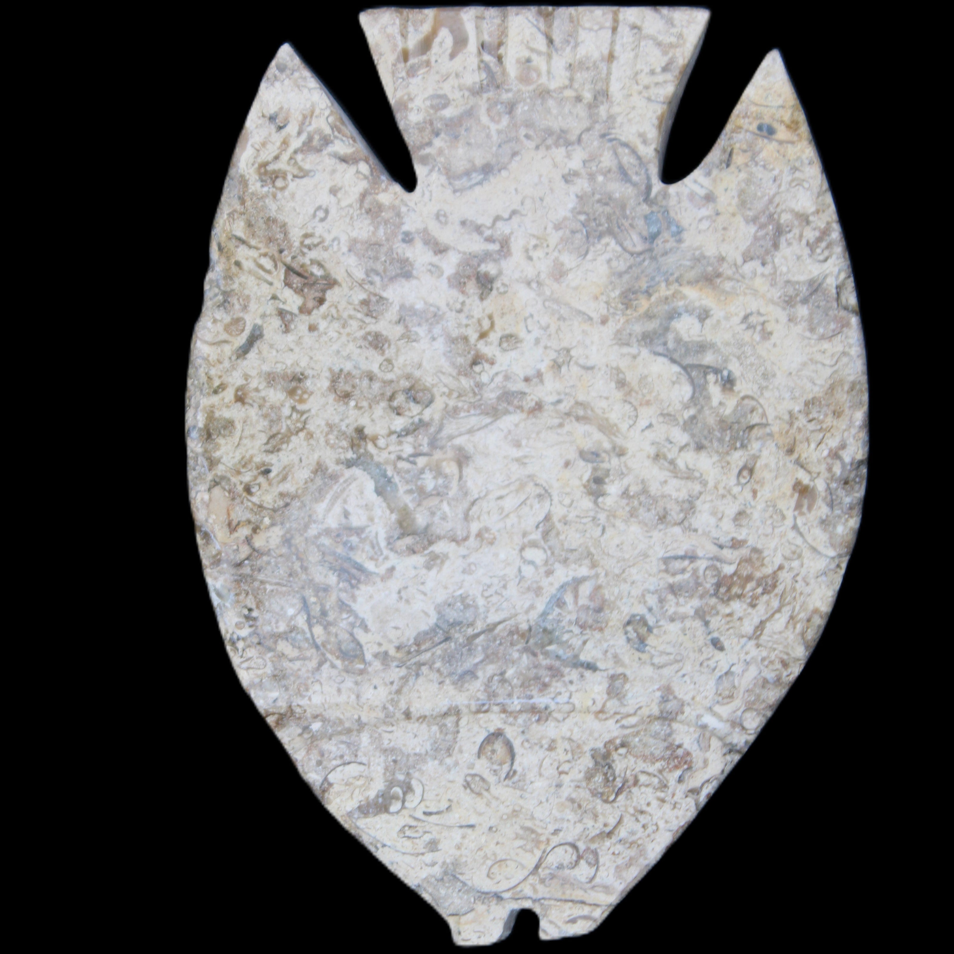 Fossil Stone hand-carved Fish platter 145*105*20mm 411g in sunlight - Rocks and Things Store