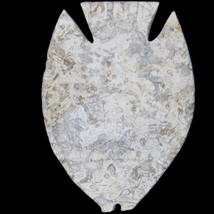 Fossil Stone hand-carved Fish platter 145*105*20mm 411g in sunlight - Rocks and Things Store