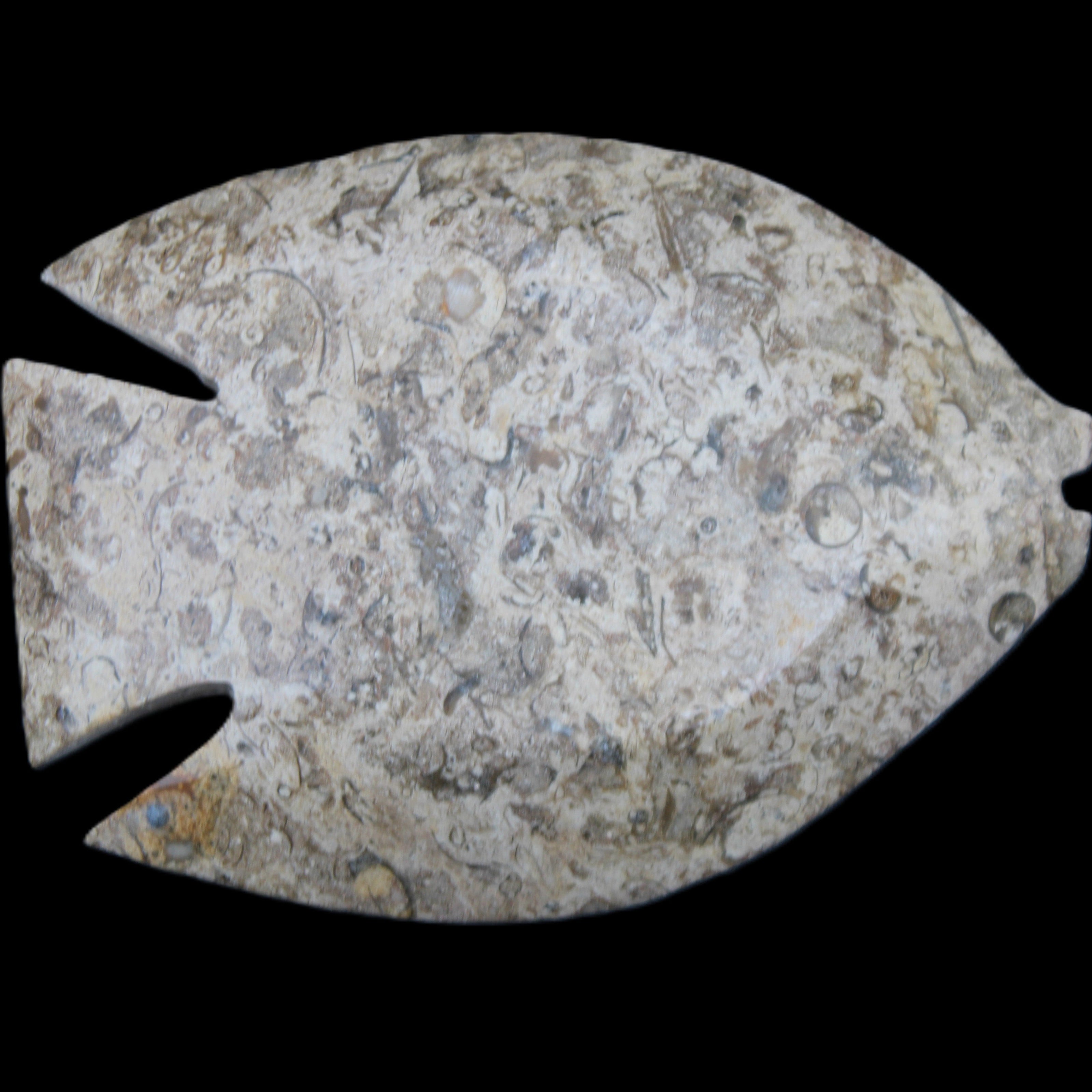 Fossil Stone hand-carved Fish platter 145*105*20mm 411g in sunlight - Rocks and Things Store
