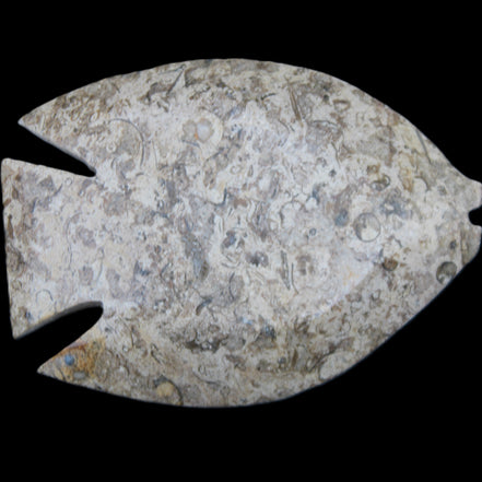 Fossil Stone hand-carved Fish platter 145*105*20mm 411g in sunlight - Rocks and Things Store
