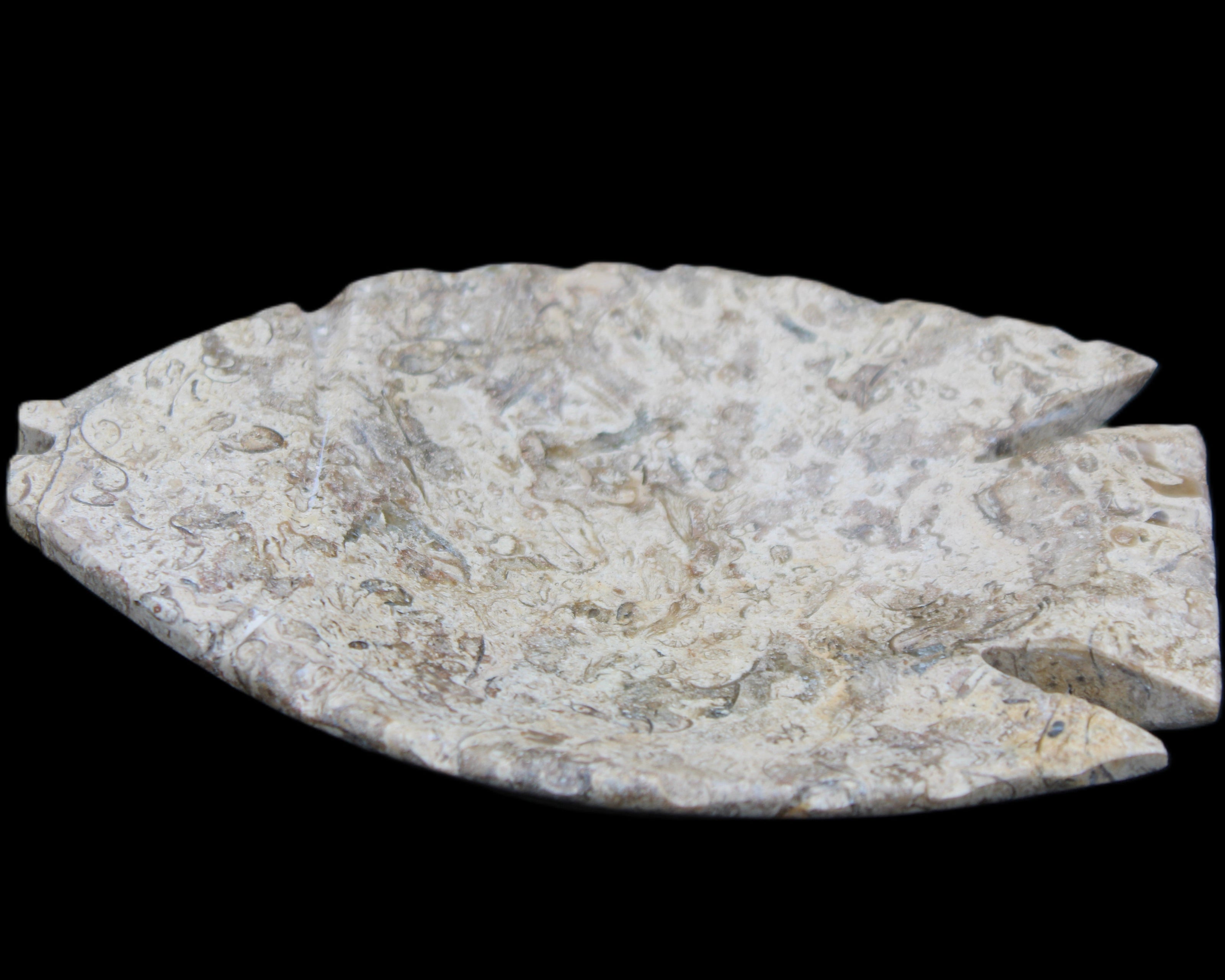 Fossil Stone hand-carved Fish platter 145*105*20mm 411g in sunlight - Rocks and Things Store