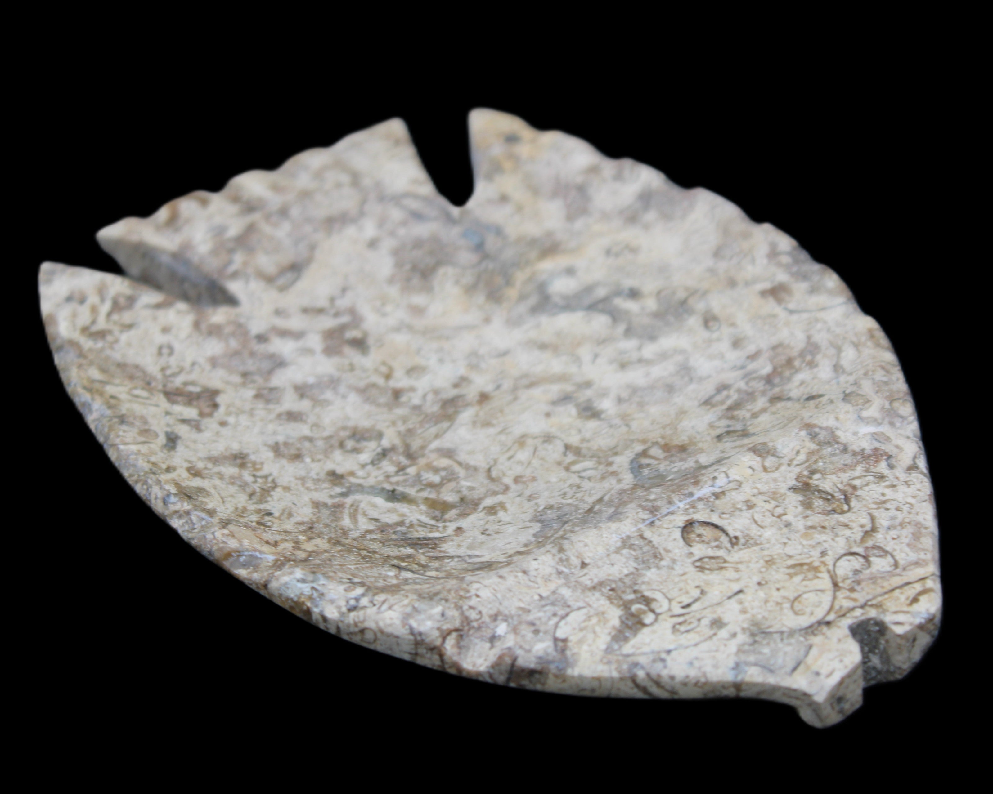 Fossil Stone hand-carved Fish platter 145*105*20mm 411g in sunlight - Rocks and Things Store