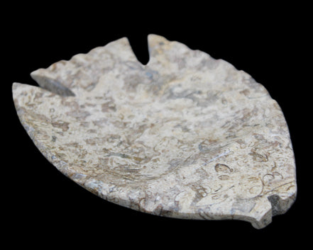 Fossil Stone hand-carved Fish platter 145*105*20mm 411g in sunlight - Rocks and Things Store