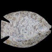 Fossil Stone hand-carved Fish platter 145*105*20mm 411g in sunlight - Rocks and Things Store