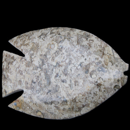Fossil Stone hand-carved Fish platter 145*105*20mm 411g in sunlight - Rocks and Things Store