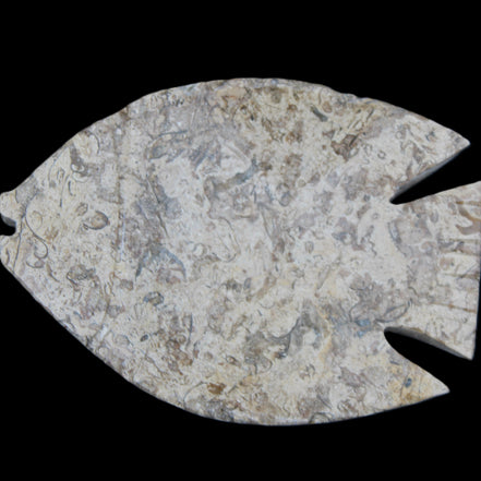 Fossil Stone hand-carved Fish platter 145*105*20mm 411g in sunlight - Rocks and Things Store